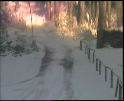 Nástup na běžecké tratě