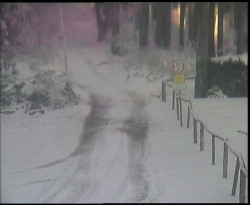 Nástup na běžecké tratě