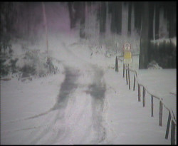 Nástup na běžecké tratě