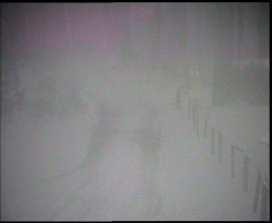 Nástup na běžecké tratě