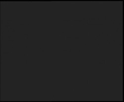 Nástup na běžecké tratě