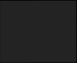 Nástup na běžecké tratě