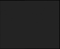 Nástup na běžecké tratě