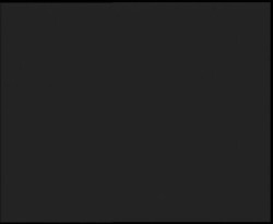 Nástup na běžecké tratě