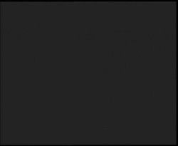 Nástup na běžecké tratě