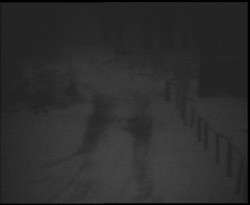 Nástup na běžecké tratě