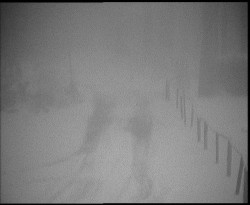 Nástup na běžecké tratě