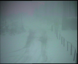 Nástup na běžecké tratě