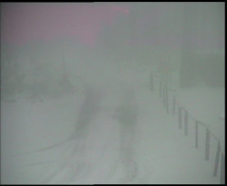 Nástup na běžecké tratě