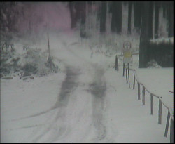 Nástup na běžecké tratě