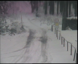 Nástup na běžecké tratě