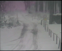 Nástup na běžecké tratě