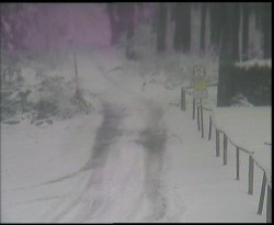 Nástup na běžecké tratě