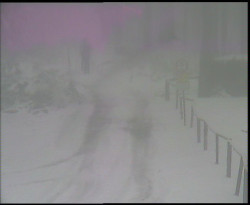 Nástup na běžecké tratě