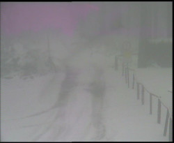 Nástup na běžecké tratě