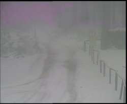 Nástup na běžecké tratě