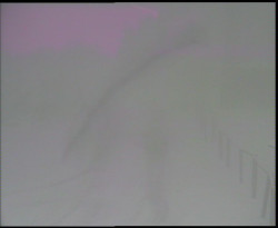 Nástup na běžecké tratě