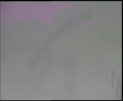 Nástup na běžecké tratě