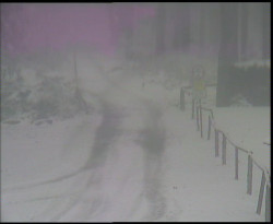 Nástup na běžecké tratě