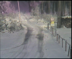 Nástup na běžecké tratě