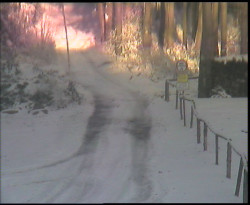 Nástup na běžecké tratě