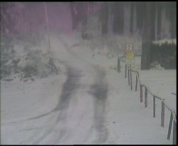 Nástup na běžecké tratě