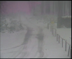 Nástup na běžecké tratě