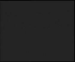 Nástup na běžecké tratě