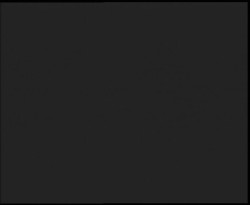 Nástup na běžecké tratě