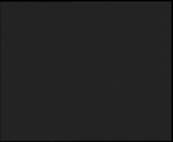 Nástup na běžecké tratě