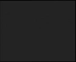 Nástup na běžecké tratě