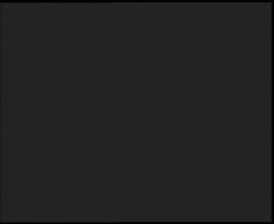 Nástup na běžecké tratě