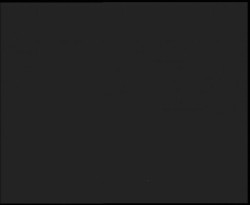 Nástup na běžecké tratě