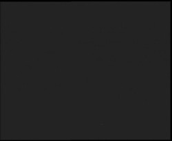 Nástup na běžecké tratě