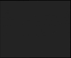 Nástup na běžecké tratě