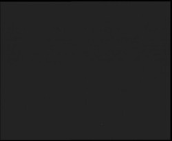 Nástup na běžecké tratě