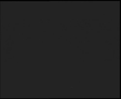 Nástup na běžecké tratě