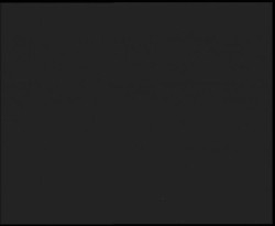 Nástup na běžecké tratě