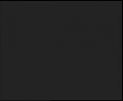 Nástup na běžecké tratě