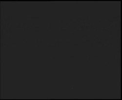 Nástup na běžecké tratě