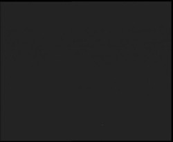 Nástup na běžecké tratě