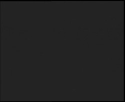 Nástup na běžecké tratě