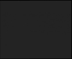 Nástup na běžecké tratě