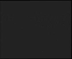 Nástup na běžecké tratě