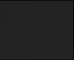 Nástup na běžecké tratě