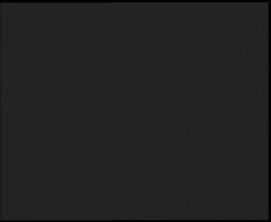 Nástup na běžecké tratě