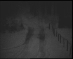 Nástup na běžecké tratě