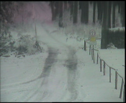 Nástup na běžecké tratě