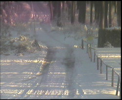 Nástup na běžecké tratě