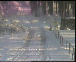 Nástup na běžecké tratě